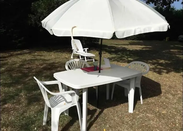 Stemicar dans les Landes