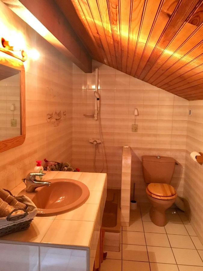Appartement Stemicar Dans Les Landes