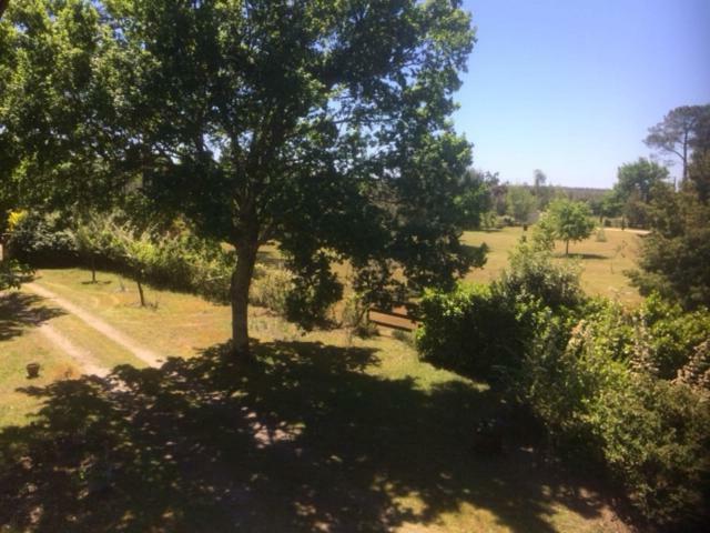 Stemicar Dans Les Landes Lesperon (Landes)