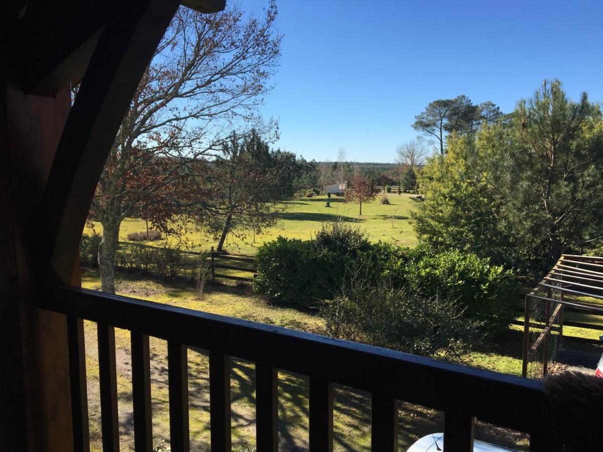 Stemicar Dans Les Landes Appartement *